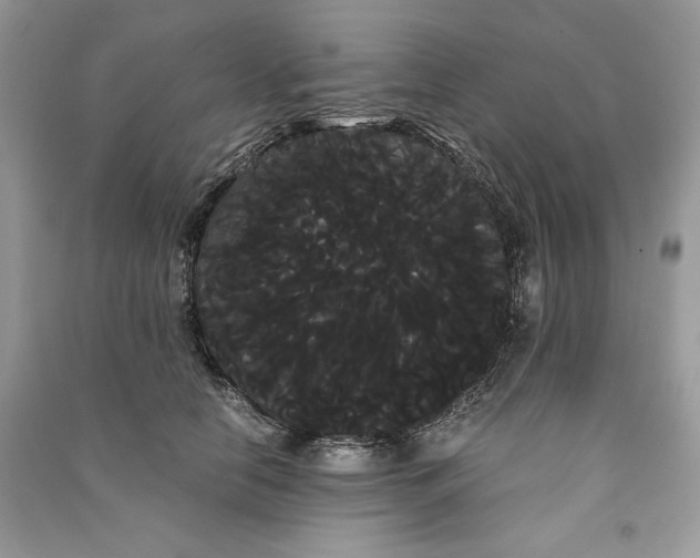 X0000090860658200708101220