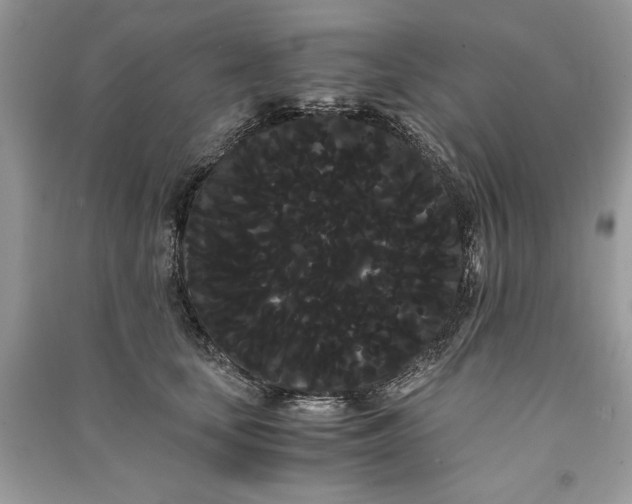 X0000090860659200708101220