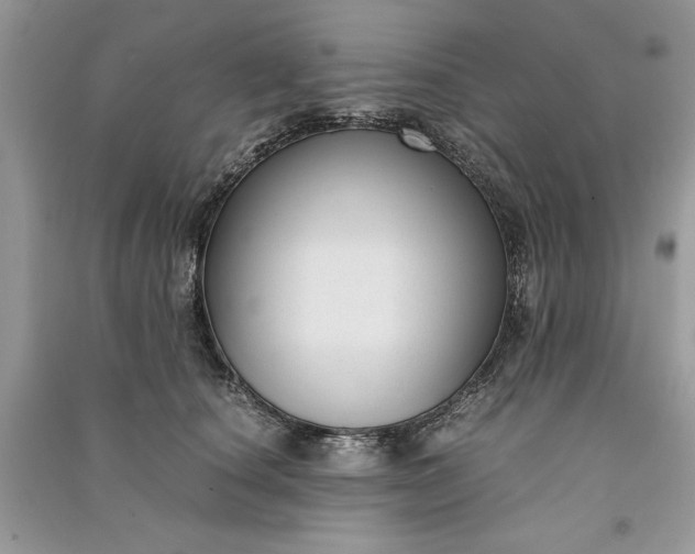 X0000090860660200708101220