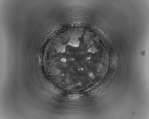 X0000090860661200708101220