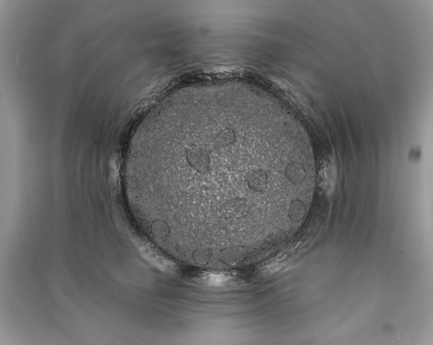 X0000090860662200708101220