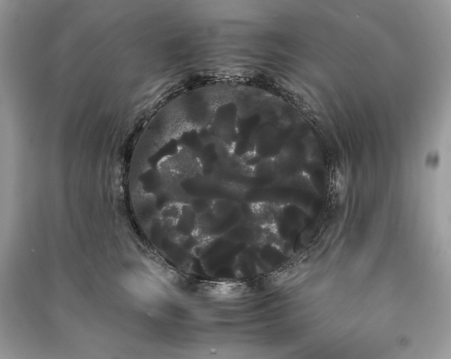 X0000090860663200708101220