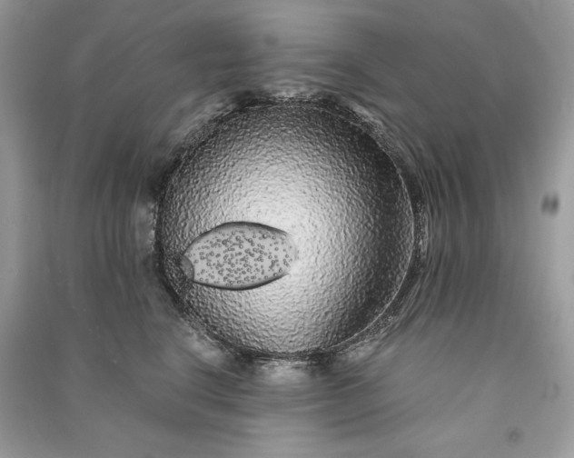 X0000090860664200708101220