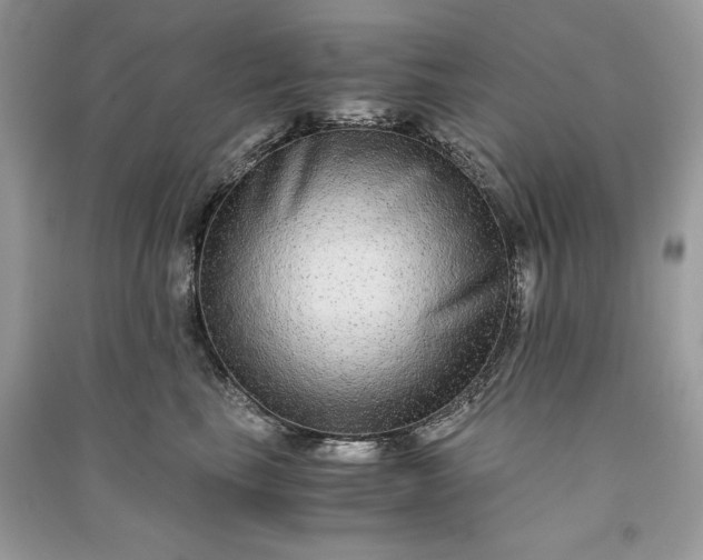 X0000090860665200708101220