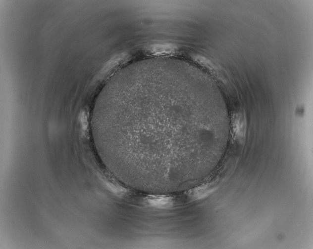 X0000090860667200708101220