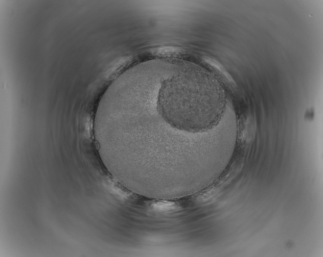 X0000090860669200708101221