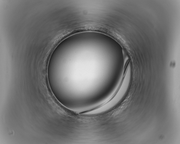 X0000090860673200708101220