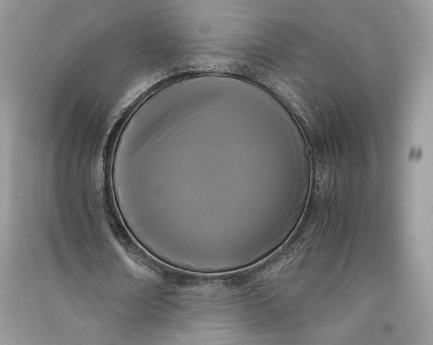 X0000090860674200708101220