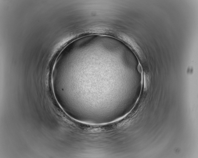 X0000090860675200708101220