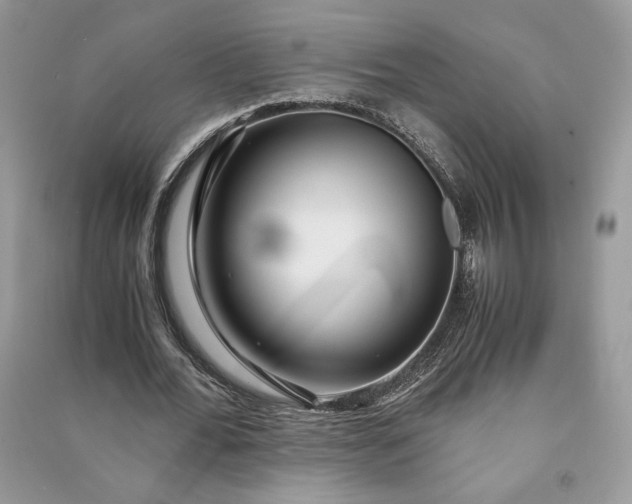 X0000090860676200708101220