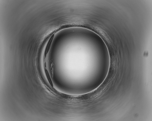 X0000090860677200708101220