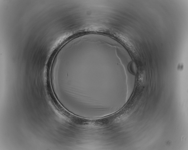 X0000090860678200708101220