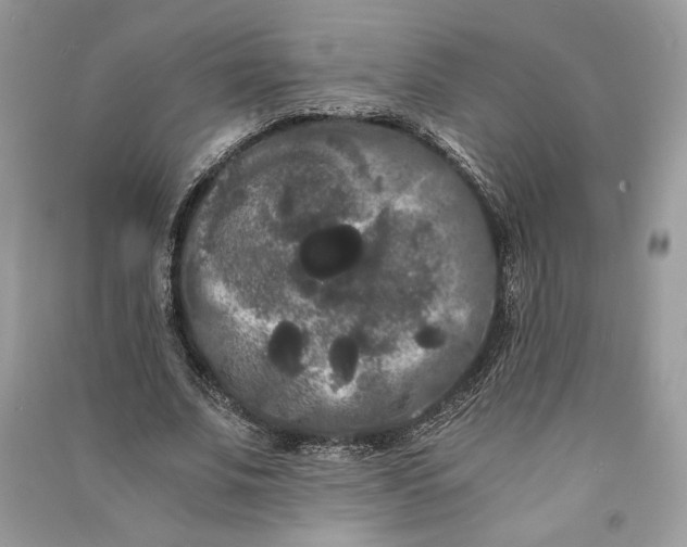 X0000090860679200708101220