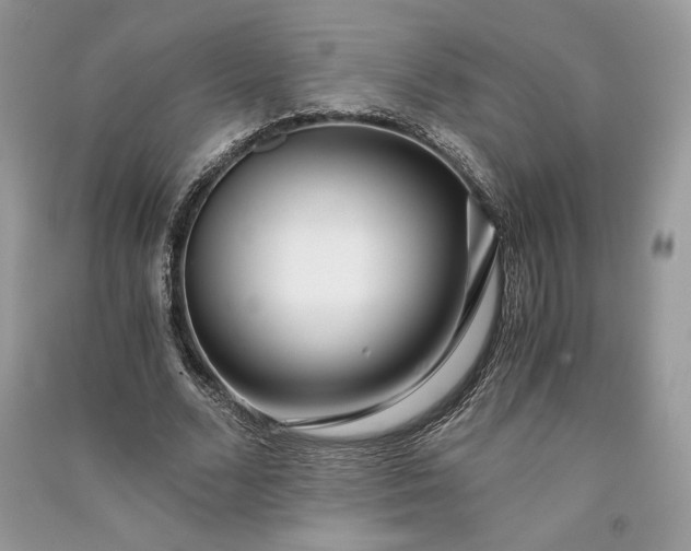 X0000090860680200708101220