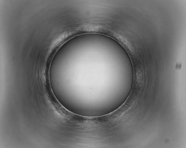 X0000090860682200708101220