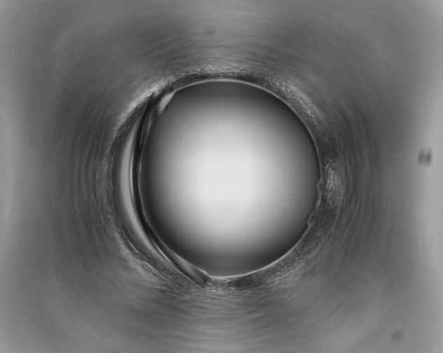 X0000090860684200708101220