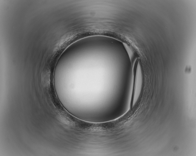 X0000090860685200708101220