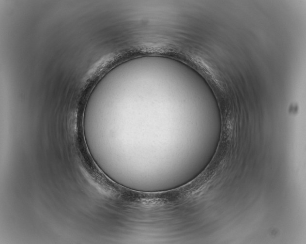 X0000090860686200708101220