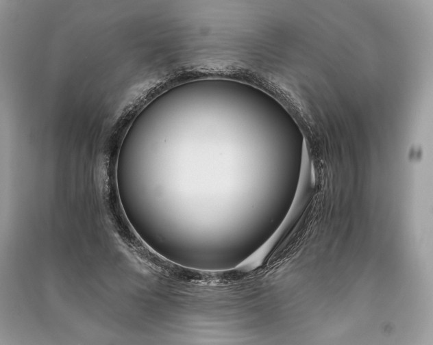 X0000090860688200708101220