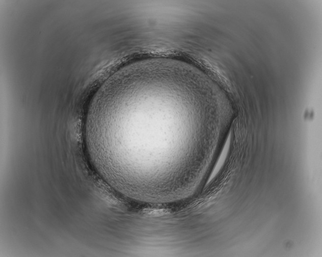 X0000090860689200708101220