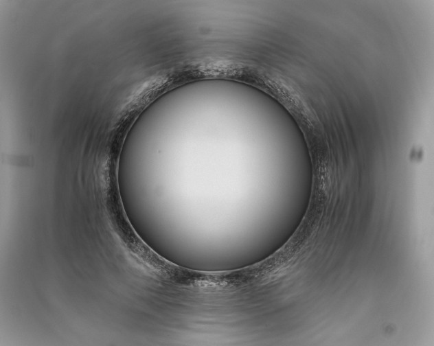 X0000090860690200708101220