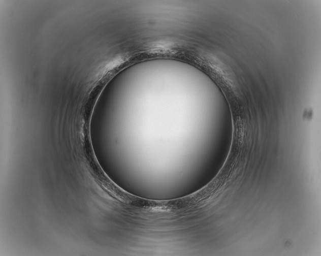 X0000090860692200708101220