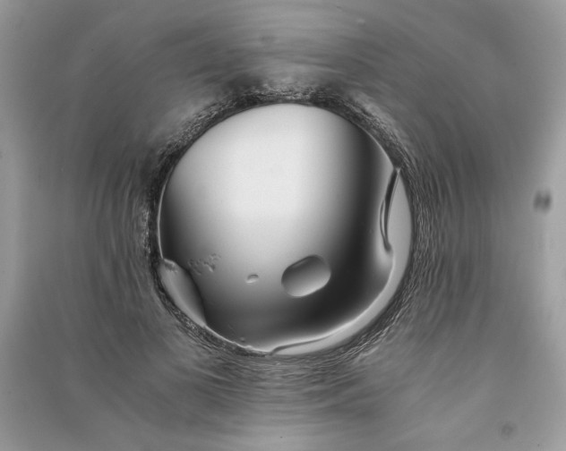 X0000090860693200708101220