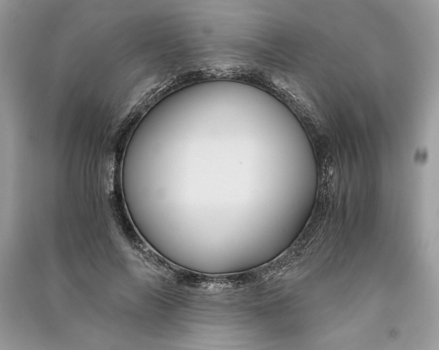 X0000090860694200708101220