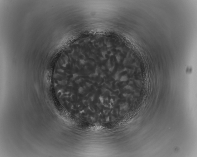 X0000090860695200708101220