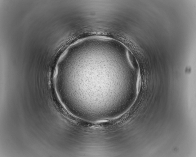 X0000090860696200708101219