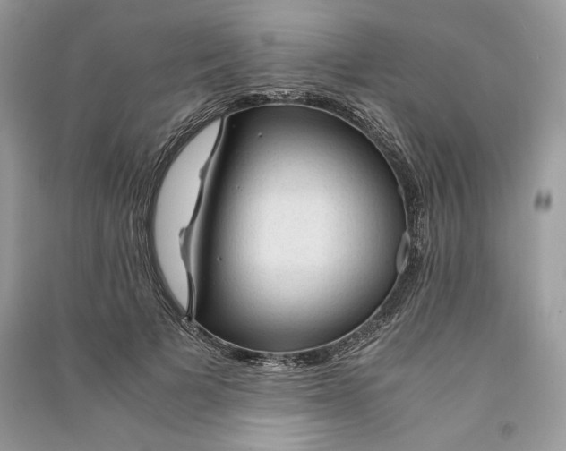 X0000090860697200708101219