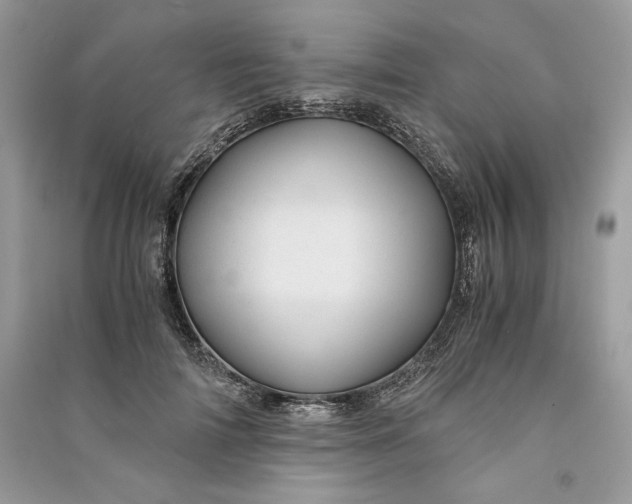 X0000090860698200708101219