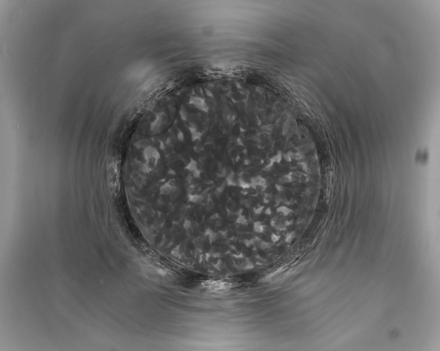 X0000090860699200708101219