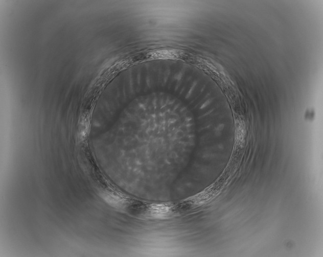 X0000090860701200708101219