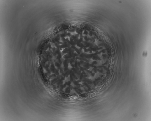 X0000090860703200708101219