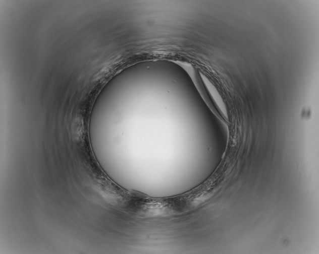 X0000090860704200708101219