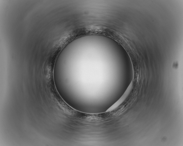 X0000090860708200708101219