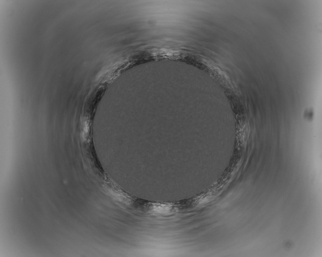 X0000090860709200708101219