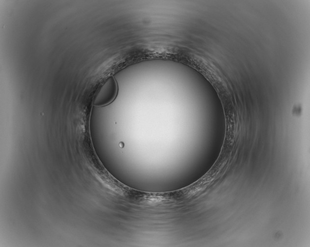 X0000090860710200708101219