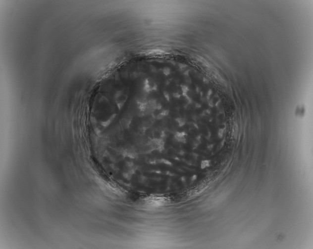 X0000090860711200708101219