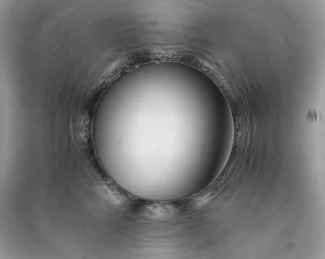 X0000090860712200708101219