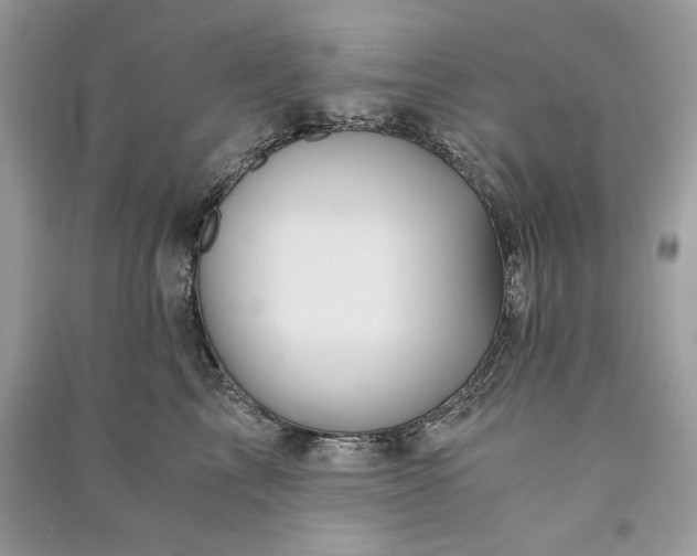 X0000090860713200708101219