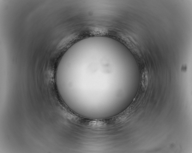 X0000090860714200708101219