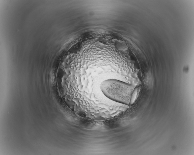 X0000090860715200708101219