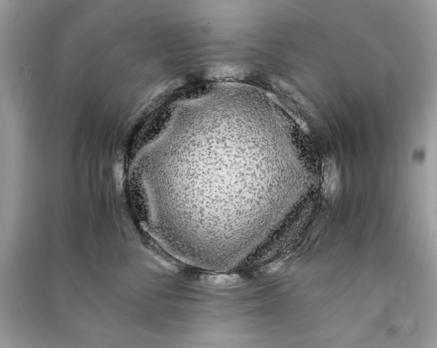 X0000090860716200708101219