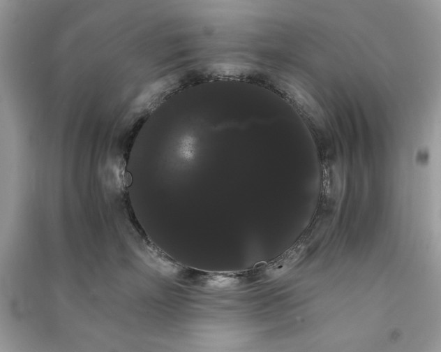 X0000090860718200708101219