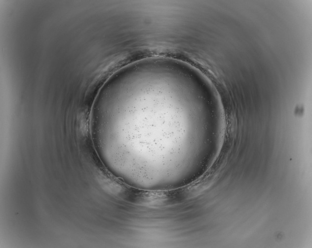 X0000090860719200708101219