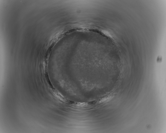 X0000090860720200708101219