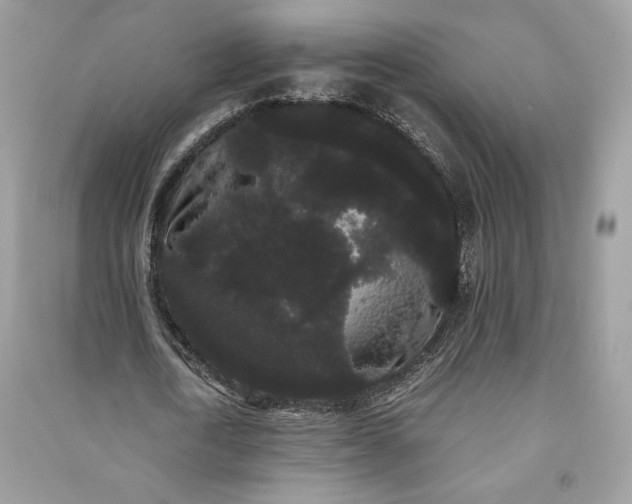 X0000090860722200708101219