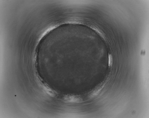 X0000090860723200708101219